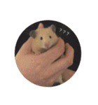 わたしのはむちゃんず。（個別スタンプ：2）