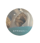 わたしのはむちゃんず。（個別スタンプ：12）