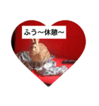 うさぎくんの日常（個別スタンプ：1）