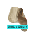 うさぎくんの日常（個別スタンプ：2）
