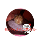 うさぎくんの日常（個別スタンプ：3）