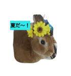 うさぎくんの日常（個別スタンプ：4）