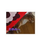 うさぎくんの日常（個別スタンプ：7）
