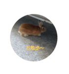 うさぎくんの日常（個別スタンプ：8）