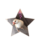 文鳥のももちゃんと友達のポロンちゃん（個別スタンプ：8）