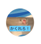 文鳥のももちゃんと友達のポロンちゃん（個別スタンプ：28）