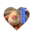文鳥のももちゃんと友達のポロンちゃん（個別スタンプ：31）