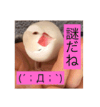 文鳥のももちゃんと友達のポロンちゃん（個別スタンプ：32）