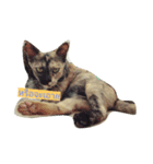 som-sri (Cat)（個別スタンプ：1）
