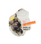 som-sri (Cat)（個別スタンプ：5）