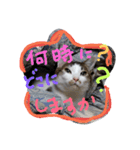 minto,minto（個別スタンプ：3）