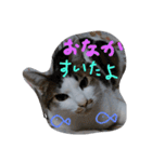 minto,minto（個別スタンプ：6）