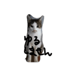 minto,minto（個別スタンプ：13）