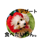 CUTE DOG   -nacchan！-（個別スタンプ：9）