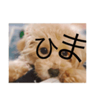 CUTE DOG   -nacchan！-（個別スタンプ：15）