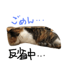 そらゆう（個別スタンプ：1）