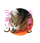 そらゆう（個別スタンプ：8）