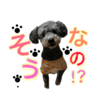 ももちゃちゃ（個別スタンプ：7）
