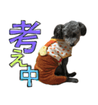 ももちゃちゃ（個別スタンプ：15）