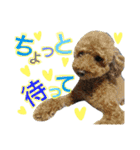 ももちゃちゃ（個別スタンプ：16）