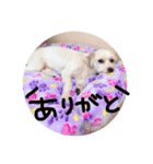 りゅうちぇるの毎日（個別スタンプ：3）