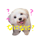 りゅうちぇるの毎日（個別スタンプ：6）