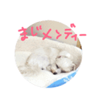 りゅうちぇるの毎日（個別スタンプ：7）