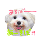 りゅうちぇるの毎日（個別スタンプ：8）