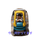 わたるんるん1（個別スタンプ：7）