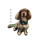 Labi Dogss（個別スタンプ：4）