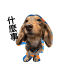 Labi Dogss（個別スタンプ：7）