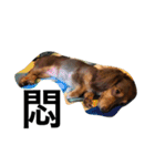 Labi Dogss（個別スタンプ：26）