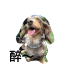 Labi Dogss（個別スタンプ：27）