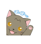つぶらな日々にゃんこ（個別スタンプ：12）