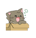 つぶらな日々にゃんこ（個別スタンプ：15）