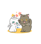 つぶらな日々にゃんこ（個別スタンプ：19）