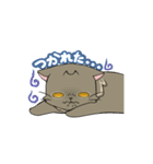 つぶらな日々にゃんこ（個別スタンプ：21）