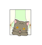 つぶらな日々にゃんこ（個別スタンプ：23）
