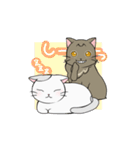 つぶらな日々にゃんこ（個別スタンプ：28）