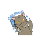 つぶらな日々にゃんこ（個別スタンプ：30）
