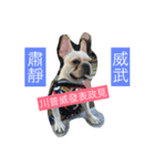 French Bulldog-Weiwei（個別スタンプ：4）