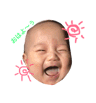 うたまるくんだよ（個別スタンプ：1）