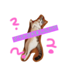 小悪魔ねこメイちゃん（個別スタンプ：7）