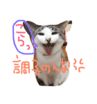 小悪魔ねこメイちゃん（個別スタンプ：10）