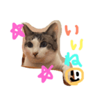 小悪魔ねこメイちゃん（個別スタンプ：11）