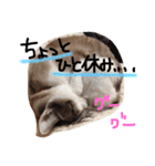 小悪魔ねこメイちゃん（個別スタンプ：21）