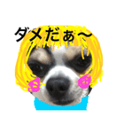 宙先生（個別スタンプ：2）