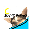宙先生（個別スタンプ：3）