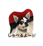 宙先生（個別スタンプ：7）