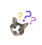 愉快なネコたち（個別スタンプ：4）